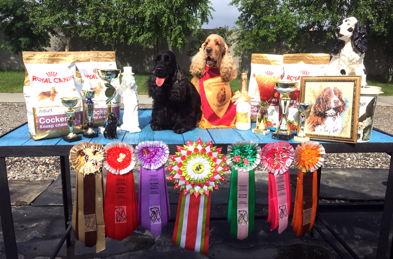  Собаки СУМЗа завоевали самые престижные титулы Всероссийской выставки собак