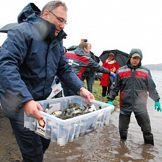 СУМЗ выпустил в Новомариинское водохранилище 30 тысяч мальков толстолобика и сазана